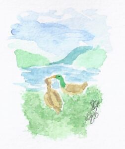 Aquarell zweier Enten